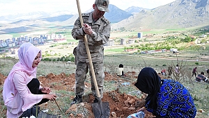 81 İL ŞEHİDİNE 81 FİDAN 