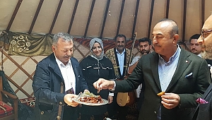 ÇADIRIMIZA MİSAFİR AKINI.. 