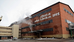 GÖZÜN AYDIN ELBİSTAN ŞEKER GİTTİ!.. 