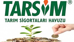 TARSİM KURAKLIK SİGORTASINDA İLK 5'E GİRDİK 