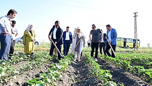 AK KADROLAR DİMDİK AYAKTA... 