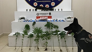 NARKOTİK OPERASYONUNDA UYUŞTURUCU VE SİLAH BULUNDU 