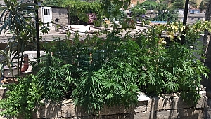  POLİS UYUŞTURUCU TİCARETİ YAPANLARA GÖZ AÇTIRMIYOR 