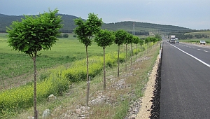 YENİ BİR MESİRE ALANINA DAHA KAVUŞUYORUZ… 