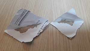 NARKOTİK OPERASYONUNDA SUÇÜSTÜ 