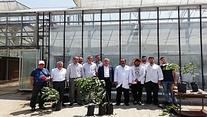 REKTÖR CAN, İNCELEMELERDE BULUNDU 