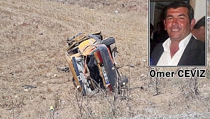 CEVİZ YAŞAMA TUTUNAMADI! 