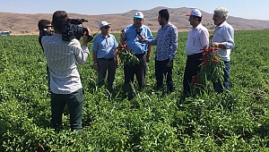 DÜNYADA 8. SIRADAYIZ 