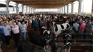 “HAYVANCILIK OSB’Sİ KURUYORUZ” 