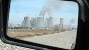 YAŞLI DEVE İŞ KUYRUĞU! 