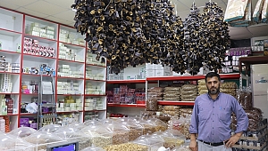 BAĞCIOĞLU MARMARA'NIN ANA TEDARİKÇİSİ OLDU! 