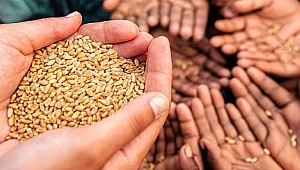 DÜNYADA 870 MİLYON İNSAN AÇLIK ÇEKİYOR 