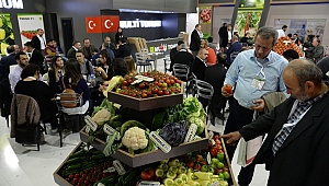 ORTALAMA 136 MİLYON USD BÜYÜMESİ BEKLENİYOR… 