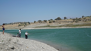 SIR BARAJINDA DOĞAL YAŞAM YENİDEN BAŞLADI 