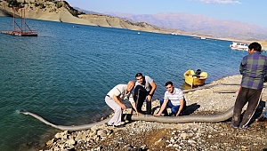 BARAJLARIMIZA 1.520.000 ADET YAVRU BALIK BIRAKILDI 