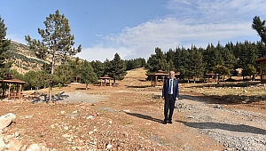 “BU AĞAÇLAR ARTIK YALNIZ DEĞİL” 