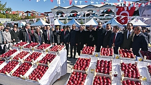 GÖKSUN ELMA FESTİVALİNİN 7.Sİ COŞKUYLA YAPILDI 