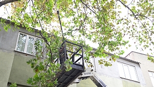 PARK BAHÇEDEN KIŞ HAZIRLIĞI 