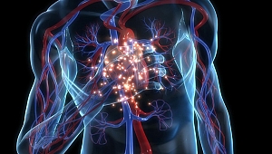 BACAKTAN GELEN ÖLÜMCÜL TEHLİKE 