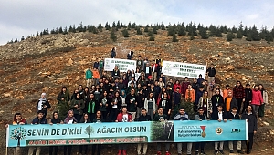 SENİN DE BİR DİKİLİ AĞACIN OLSUN 
