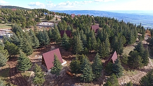 YALNIZ ARDIÇ MESİRE ALANINDA BUNGALOV EVLER YÜKSELİYOR 