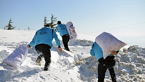 DULKADİROĞLU BELEDİYESİ YABAN HAYVANLARINI UNUTMUYOR 