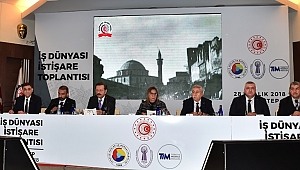 ZABUN, İŞ DÜNYASININ SORUNLARINI BAKAN PEKCAN’A SUNDU 