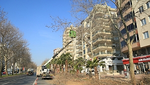 Bahara Hazırlanıyoruz.. 