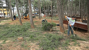 BÜYÜKŞEHİR’DEN BAHAR HAZIRLIĞI 