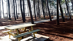 HOCALI PARKI YAPIMI DEVAM EDİYOR 