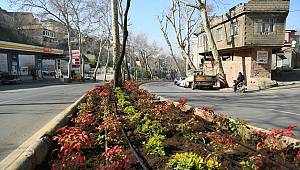 Büyükşehir Bahara Hazırlanıyor 