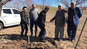 Elbistan’da Kaysı Ağaçlarına Gidya Uygulaması 