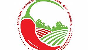 Maraş Biberi Kümelenme Projesi Başarıyla Tamamlandı 