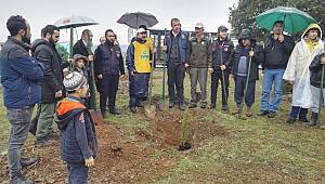 81 İlde Aynı Anda Fidan Dikme Rekoru Kırıldı 