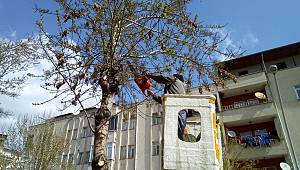 Büyükşehir’den Bahar Çalışmaları 