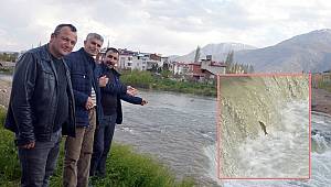 10 Binlerce Balığın Doğum Sancısı!.. 