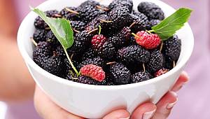 Bir Avuç Dutun 9 Faydası 