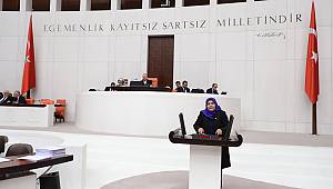 Demokrasi ve İstikrar İçin Terörle Mücadelemiz Topyekûn Devam Edecektir 