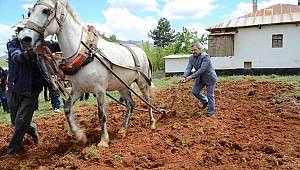 Tarım Dünyanın Her Ülkesinde Stratejik Bir Öneme Sahiptir 