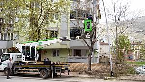 Trafik Rahatlığı İçin Ağaçlar Budandı 