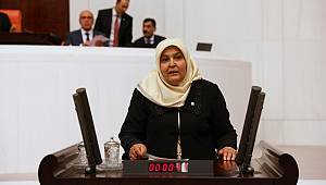 Tüm Darbeleri ve Darbecileri Şiddetle Kınıyorum 