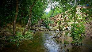 Cevizli Park Vatandaşın Hizmetinde 