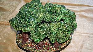 Semih Mumbuç Seramik Sergisi Açacak 