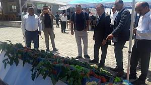 Tarımsal Kalkınma İle Bölgeye Örnek Olacaklar 