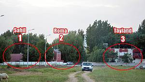 Tayland & Roma & Sahil Taşınıyor 