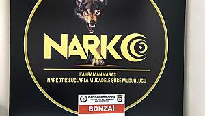 Uyuşturucu Satıcısı Tutuklandı 