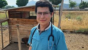 Yaralı Atmacaya Hayvanseverler Sahip Çıktı 