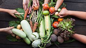 Yetersiz Beslenmenin Önüne Geçmek İçin Yeni Tartışma: Sürdürülebilir Beslenme Yolları 