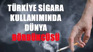 Türkiye Sigara Kullanımında Dünya Dördüncüsü 