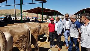 Başkan Güven'den Bölgesel Hayvan Pazarına Ziyaret 